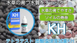 Thumbnail of post image 006