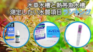 Thumbnail of post image 049