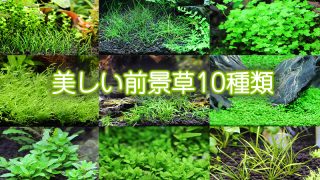 Thumbnail of post image 186