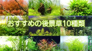 Thumbnail of post image 193
