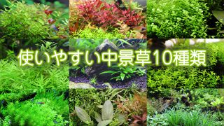 Thumbnail of post image 074