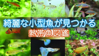 Thumbnail of post image 037