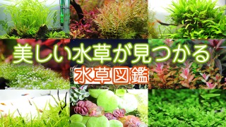 Thumbnail of post image 075