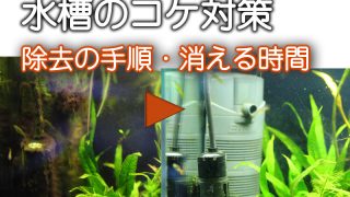 Thumbnail of post image 099