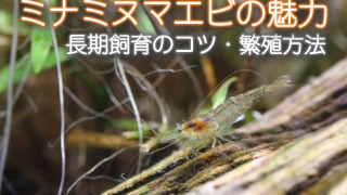 Thumbnail of post image 178