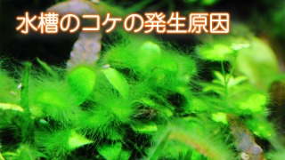 Thumbnail of post image 081