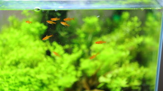 Thumbnail of post image 077