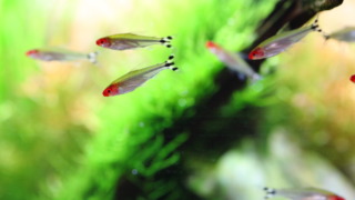 Thumbnail of post image 019