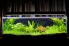 ＧＥＸ　グラステリアスリム９００水槽